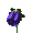Flower :flower: